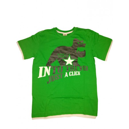 T-shirt maglia maglietta bimbo  bambino Trybeyond verde